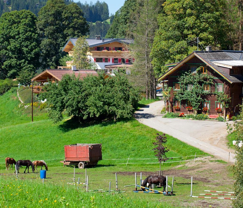 Zauchtaler Hof Hotel Altenmarkt im Pongau Exterior photo